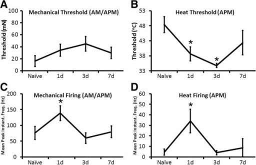 Response properties of fast conducting broad spiking a Open i