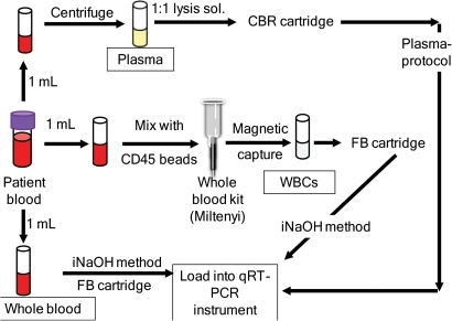 Blood components study processing schematic.CBC blood f | Open-i