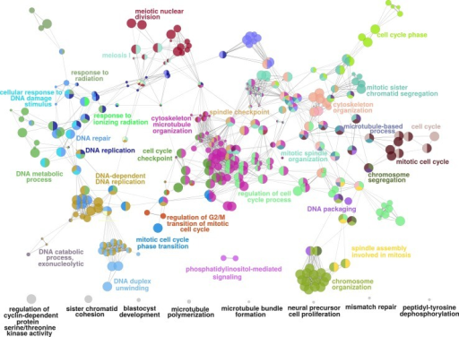 cluego cytoscape visualization network