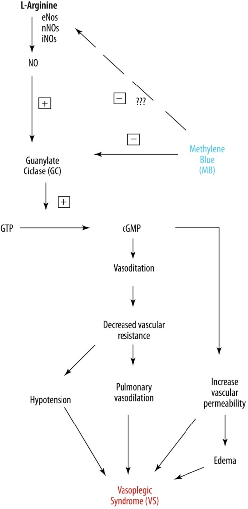 mechanism u nih blue methylene (MB) com of Possible of action mechanism