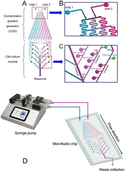 Microfluidic Device Design.(A) Layout Of The Integrated | Open-i