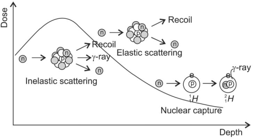 Interaction of neutrons. Elastic scattering: a neutron | Open-i