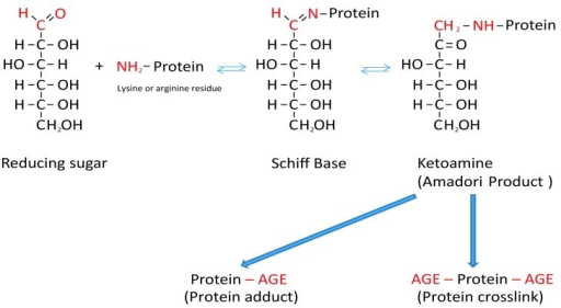 Figure 1 Schematic Presentation Of The Maillard React Open I 4099