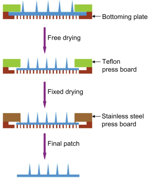 Drying Process Of Microneedle Patch. In The First Step, | Open-i