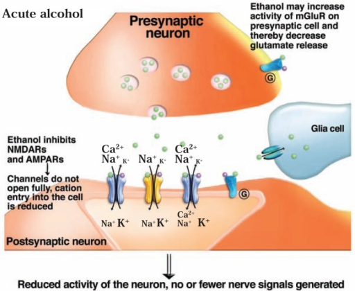 Actions of the brain’s glutamate system. In the prese | Open-i