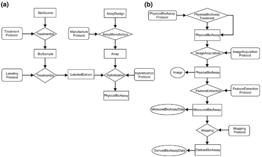 cardiology workflow a workflow diagram showing the various steps of microar cardiology workflow a workflow diagram showing the various steps of microar