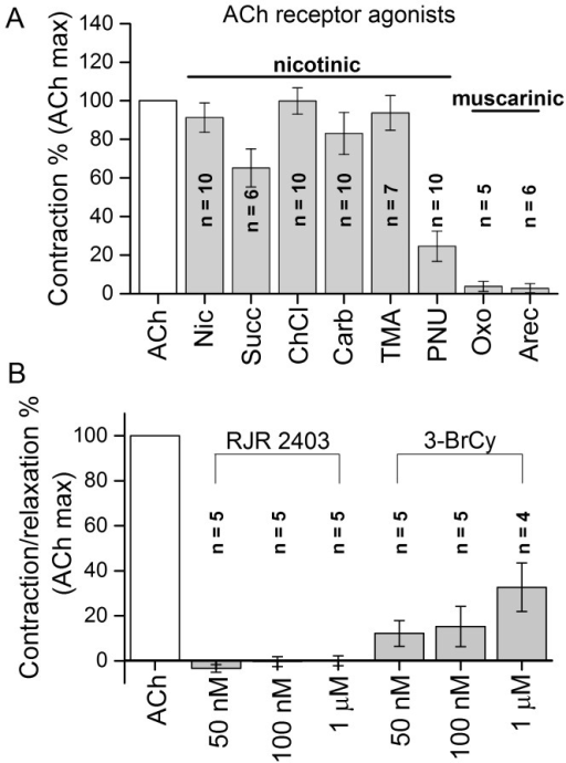 a effect of nicotinic and muscarinic agonists on the fl open i muscarinic agonist