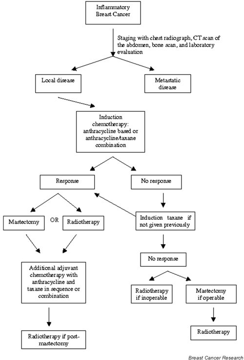 Treatment algorithm for inflammatory breast cancer. | Open-i