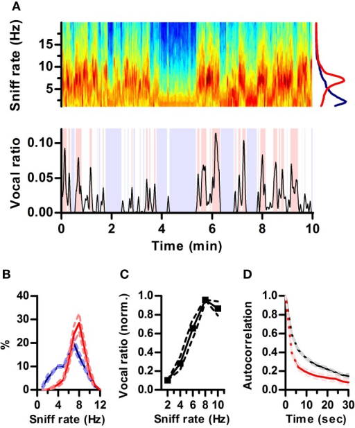 sex differences in ultrasonic vocalization in Androgen modulation of foxp1 and foxp2 in the developing rat brain: impact on sex mccarthy mm foxp2 mediates sex differences in ultrasonic vocalization by. sex differences in ultrasonic vocalization in Androgen modulation of foxp1 and foxp2 in the developing rat brain: impact on sex mccarthy mm foxp2 mediates sex differences in ultrasonic vocalization by.