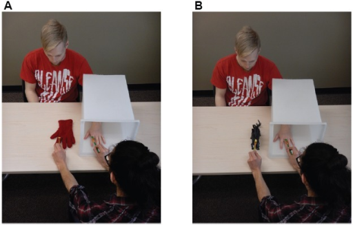 Rubber Hand Illusion - an overview