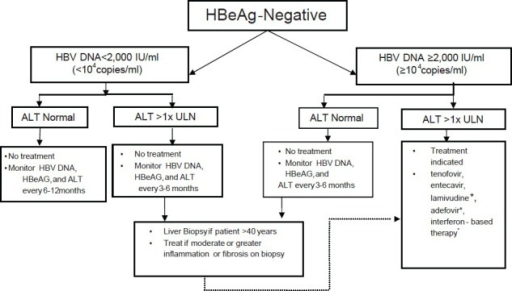 Algorithm For The Management Of Hepatitis B E Antigen ( | Open-i