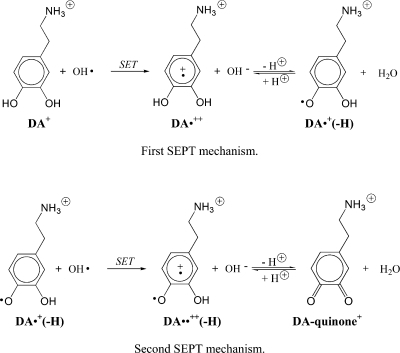 nih u mechanism Mechanism Proposed for Oxidation Two SEPT Dopamine Step