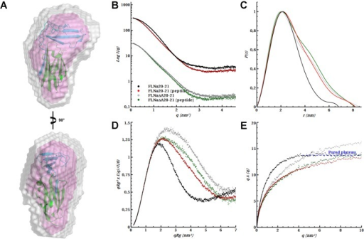 Ab 2025 initio peptides