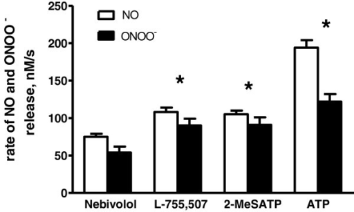 Rate of endothelial NO and ONOO- release. NO and ONOO
