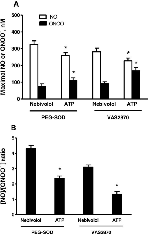 Maximal endothelial NO and ONOO- concentrations, and [N