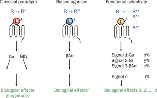 Development Of The Receptor Theory. In The Classical Pa | Open-i