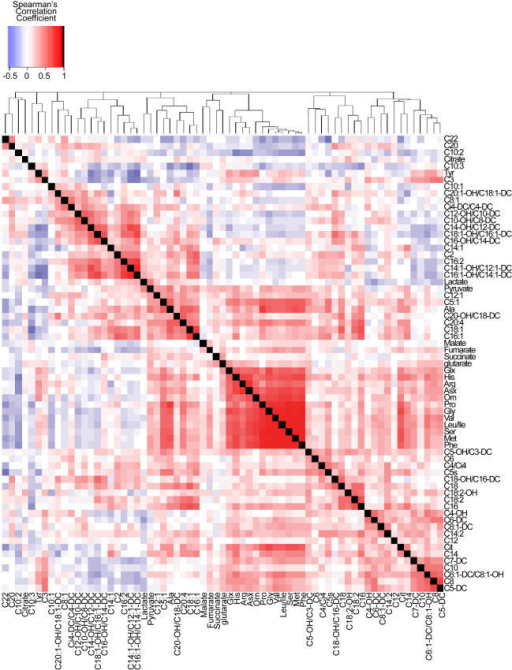 Forex correlation heat map