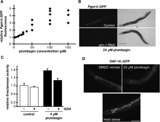 an observation of the effects of polyq toxicity in c elegans and the effects of rnai knockdown of da an observation of the effects of polyq toxicity in c elegans and the effects of rnai knockdown of da