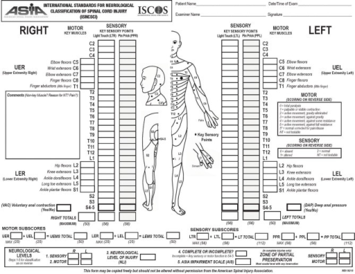 Scoring sheet for the International Standards for Neuro | Open-i