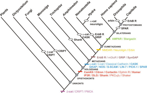 Gains (coloured dashes) and losses (ellipses) of post-s | Open-i