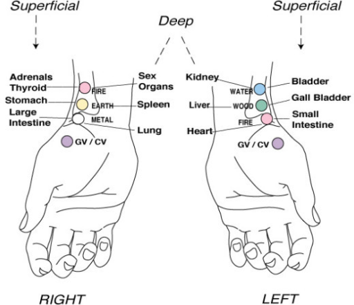 Acupuncture Pulse Points Used At The Wrist From Walker Open I