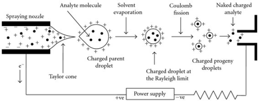 Schematic Representation Of The Electrospray Ionization | Open-i