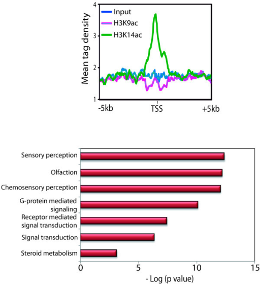 A Subset Of Inactive Promoters Having High H3K14ac Is P | Open-i