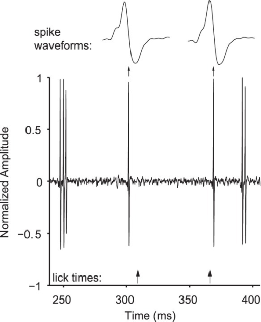 Single unit recording during behavior.Example of voltag | Open-i