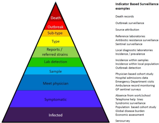 Surveillance pyramid and examples of the surveillance s | Open-i