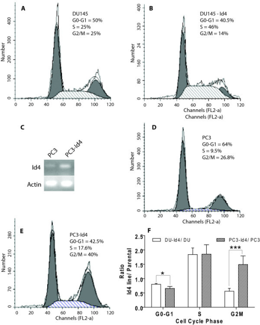 FACS analysis of cell cycle parameters in DU145, DU145- | Open-i