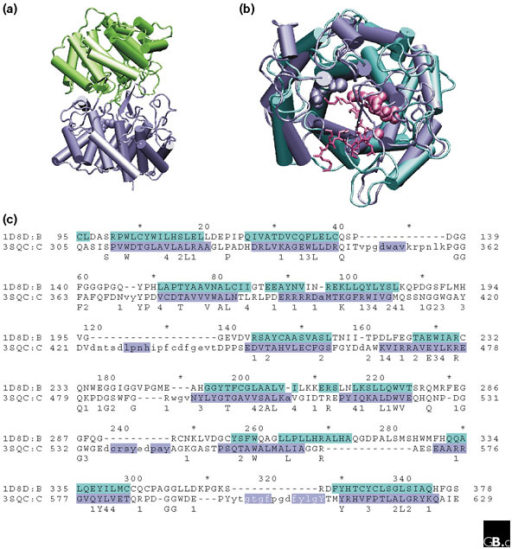 The Structural Relationship Between Protein Prenyltrans Open I