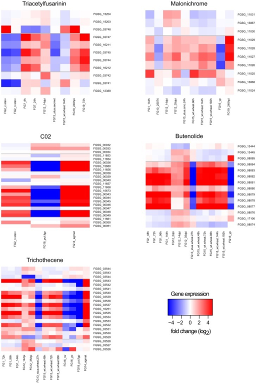 Differential Gene Expression Heatmap Of Clusters And Ne Open I