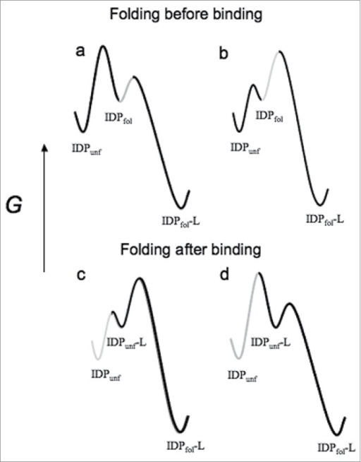 schematic free energy diagrams