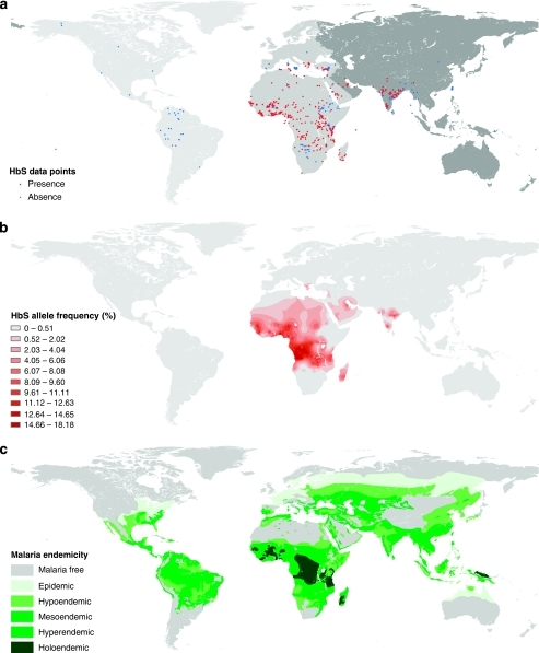 an analysis of the connection between the sickle cell gene and the spread of malaria an analysis of the connection between the sickle cell gene and the spread of malaria