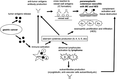 A schematic figure illustrating the hypothesis for para | Open-i