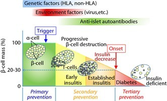 Schematic Representation Of Natural History Of Type 1 D | Open-i