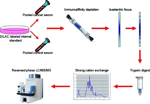 General workflow for processing of serum samples. Poole | Open-i