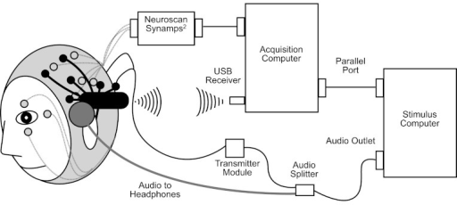 Eeg recording setup block diagram — photo 2