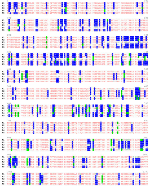 Amino Acid Sequence Alignment Of Proteolytic C Botulin Open I