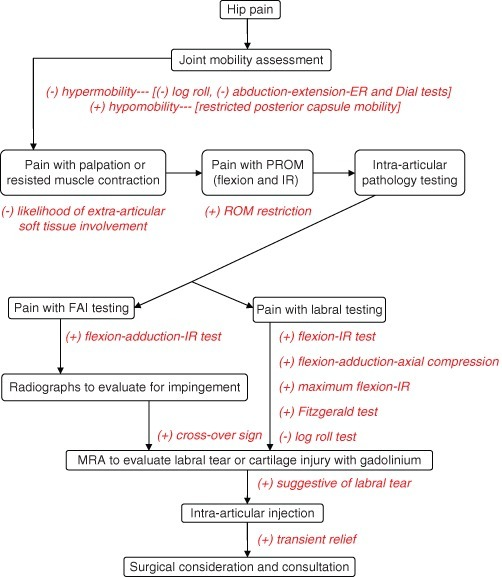 hip differential diagnosis flow chart used in exam lumbar range of motion chart