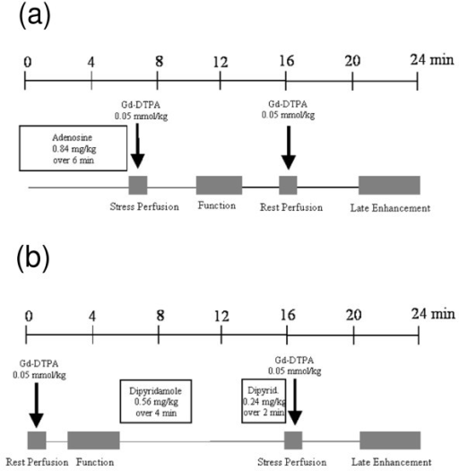 Persantine Stress Test Indications