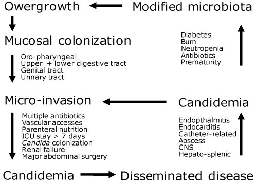 Invasive Candidiasis