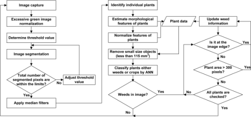 Plant Identification Flow Chart