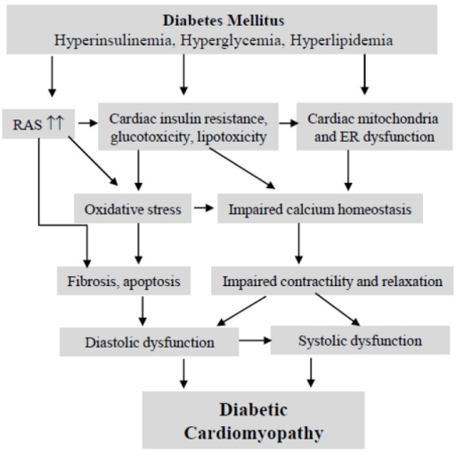 the pathophysiology of diabetic cardiomyopathy diabete pathophysiology of coronary heart disease in flow chart
