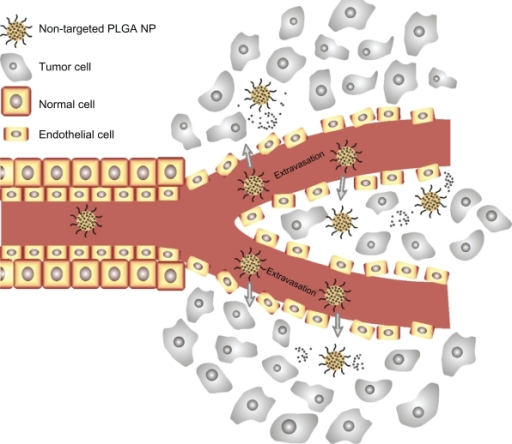 Enhanced permeability and retention effect. Passive tis | Open-i