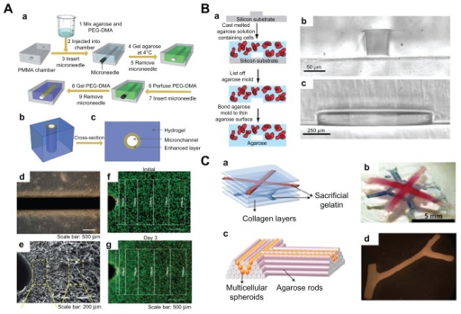 Microfluidic hydrogels for vascularization. (A) (a) Sch | Open-i