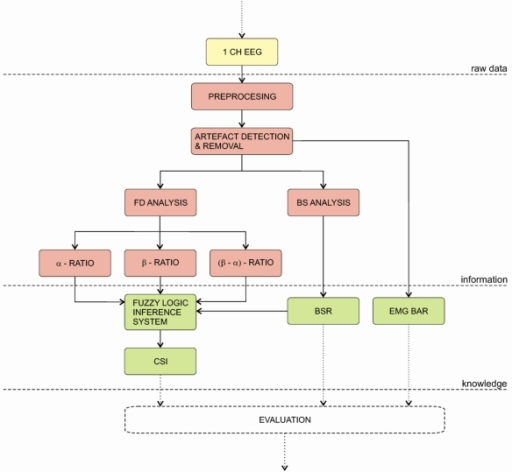 Block Diagram Of The Brain Activity Monitoring System