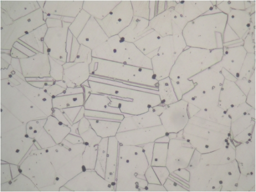 Optical Micrograph Of Undeformed 316L Stainless Steel S | Open-i