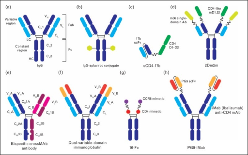 Architectures of bispecific anti-HIV-1 reagents. (a) Do | Open-i