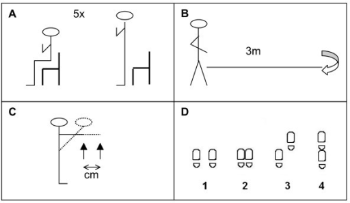 Physical Performance Tests. A Chair Stands Test. B Walk | Open-i